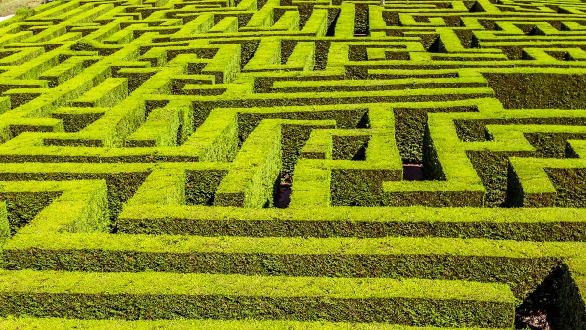 Maze Runner