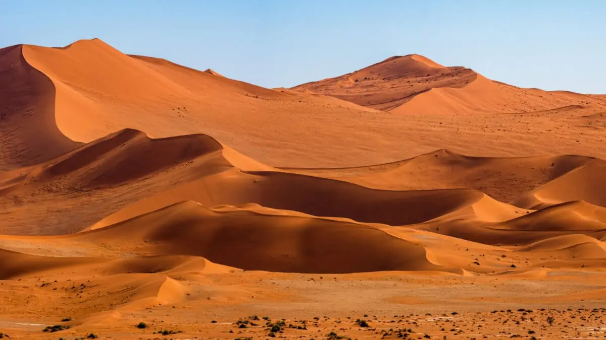 Rollistan i Dune