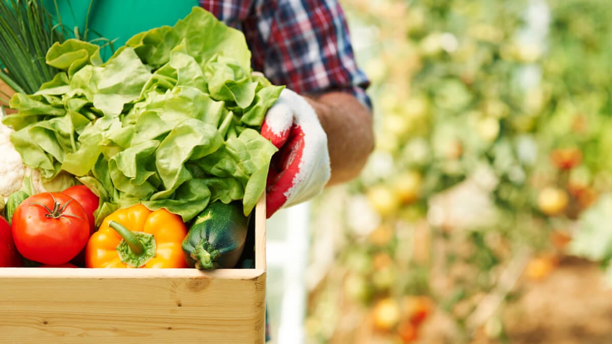 Jennifer Valencia i Farmen 2024